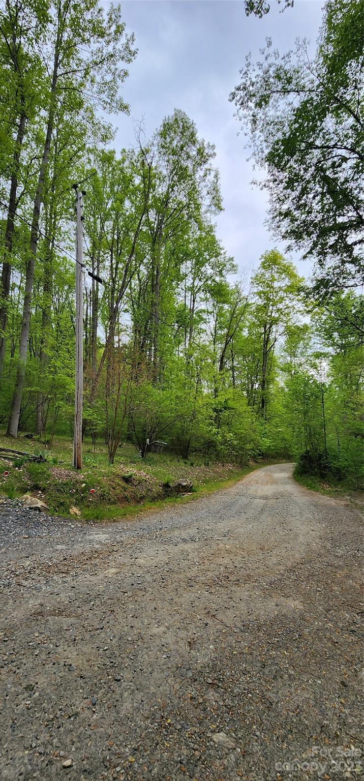 79 Apgar Road Candler, NC 28715 - Photo 13 of 17 a view of a yard with a tree