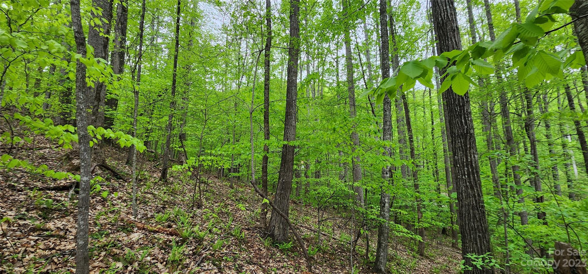 79 Apgar Road Candler, NC 28715 - Photo 14 of 17 a view of a garden