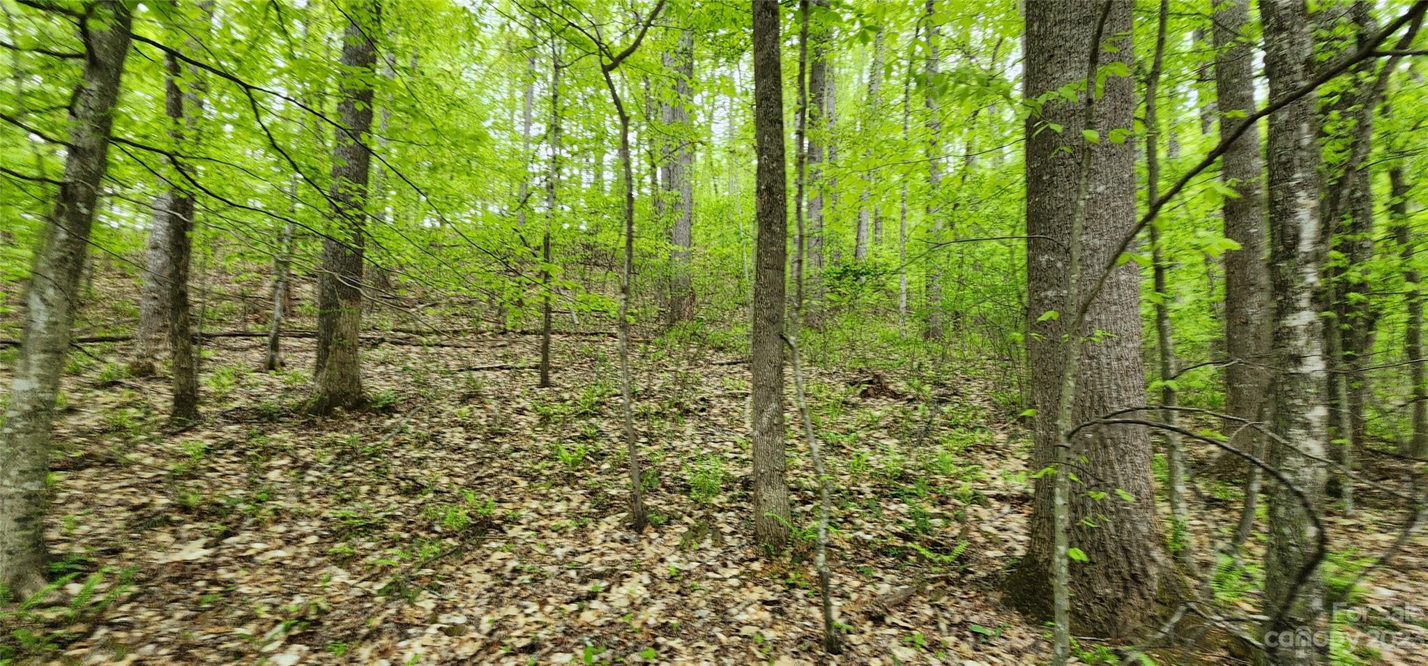 79 Apgar Road Candler, NC 28715 - Photo 7 of 17 a view of a garden