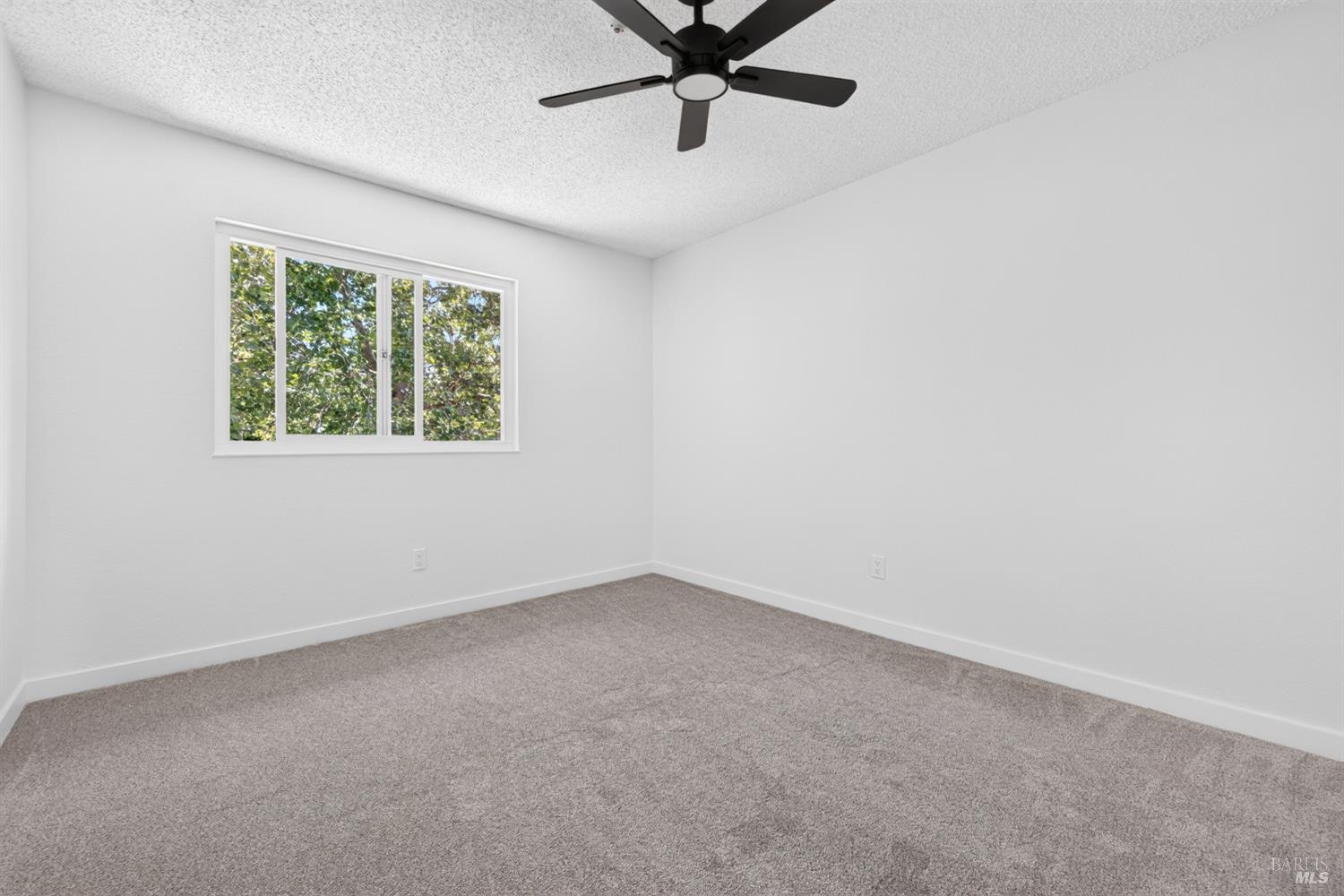 4601 Harbor Lane Rohnert Park, CA 94928 - Photo 28 of 38