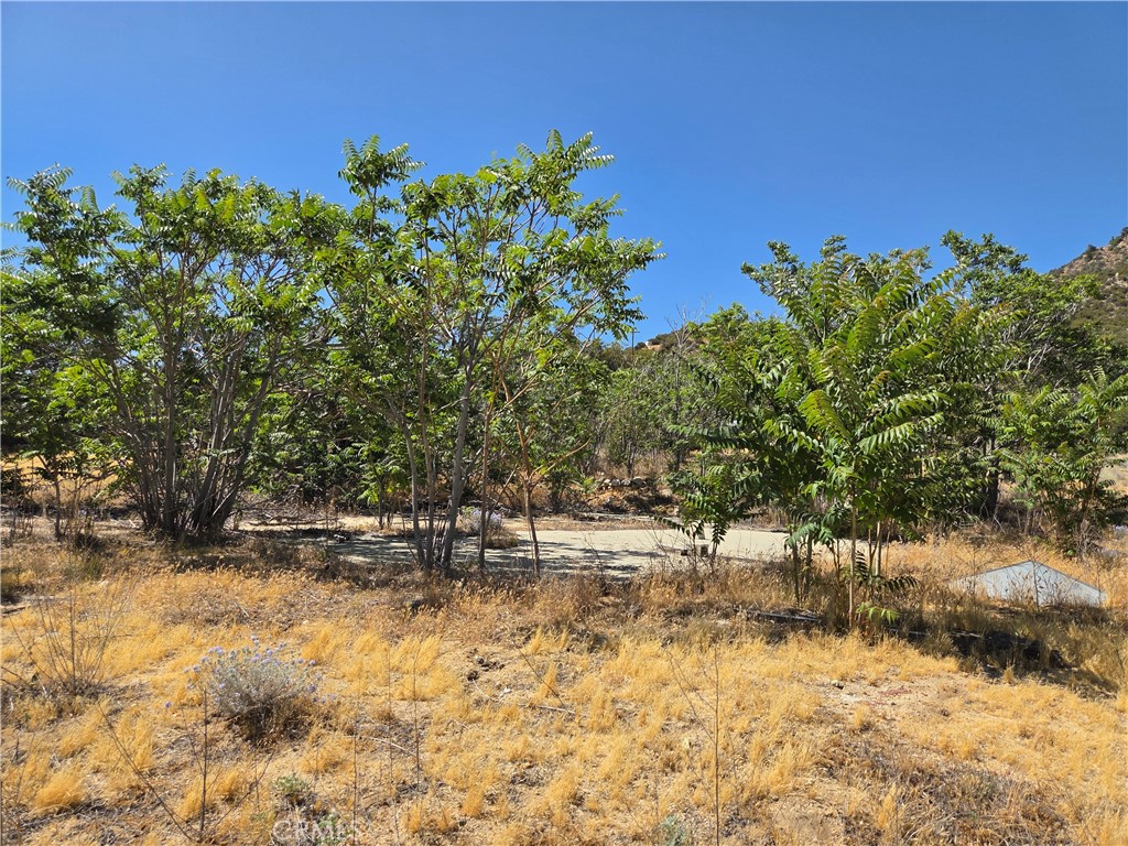 37210 Bohlen Road Anza, CA 92539 - Photo 6 of 22