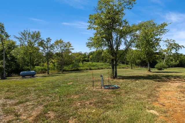 a view of a field with trees in the background