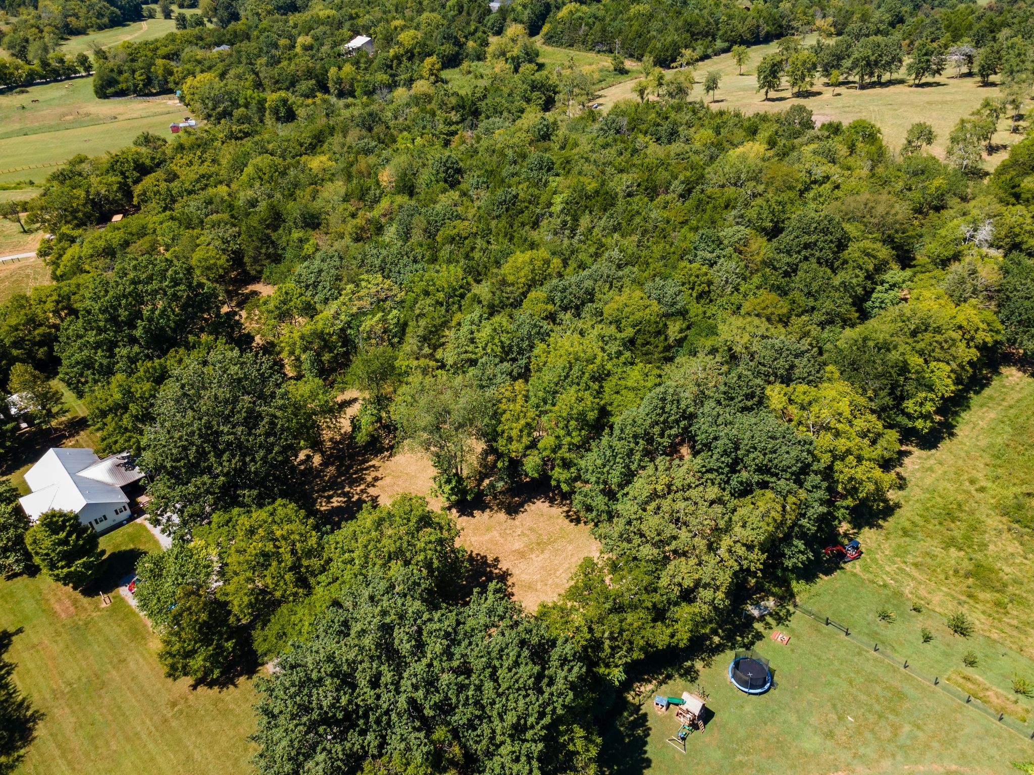 8362 Patterson Road College Grove, TN 37046 - Photo 17 of 27 a view of a yard with a tree