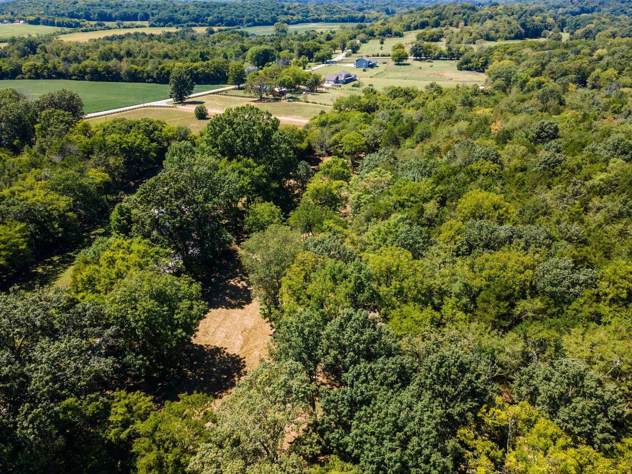 8362 Patterson Road College Grove, TN 37046 - Photo 18 of 27 a view of a garden with a house