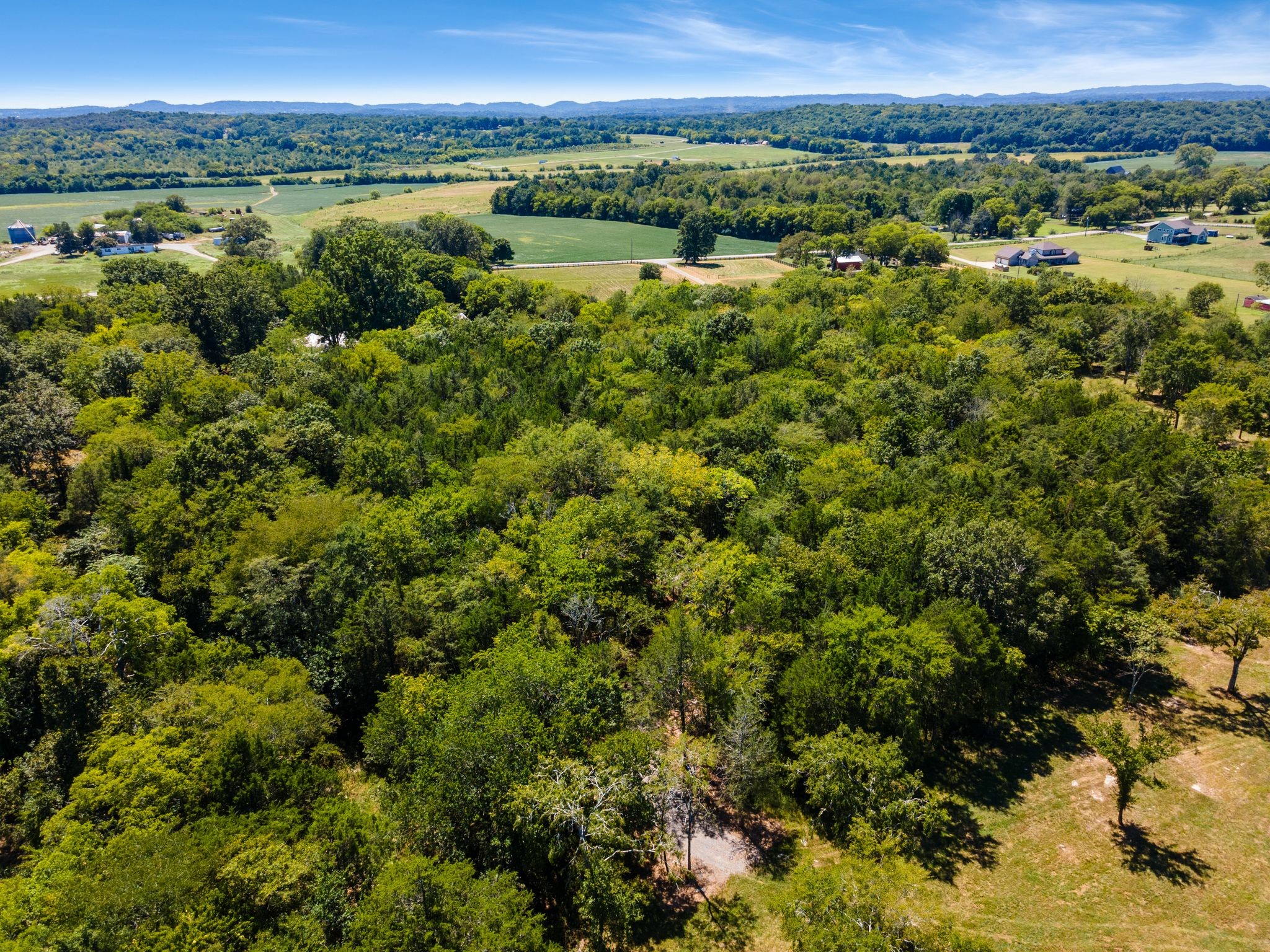 8362 Patterson Road College Grove, TN 37046 - Photo 19 of 27 a view of a city with lush green forest