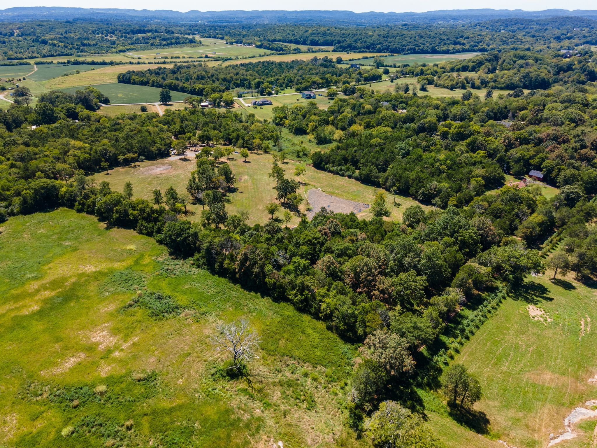8362 Patterson Road College Grove, TN 37046 - Photo 21 of 27 a view of a lush green hillside and houses
