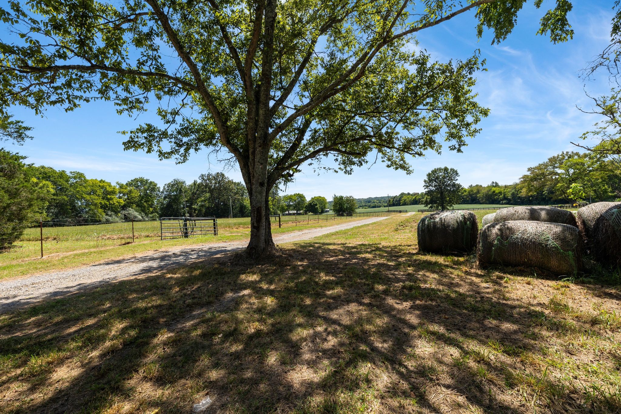 8362 Patterson Road College Grove, TN 37046 - Photo 7 of 27 a view of backyard with swimming pool and green space