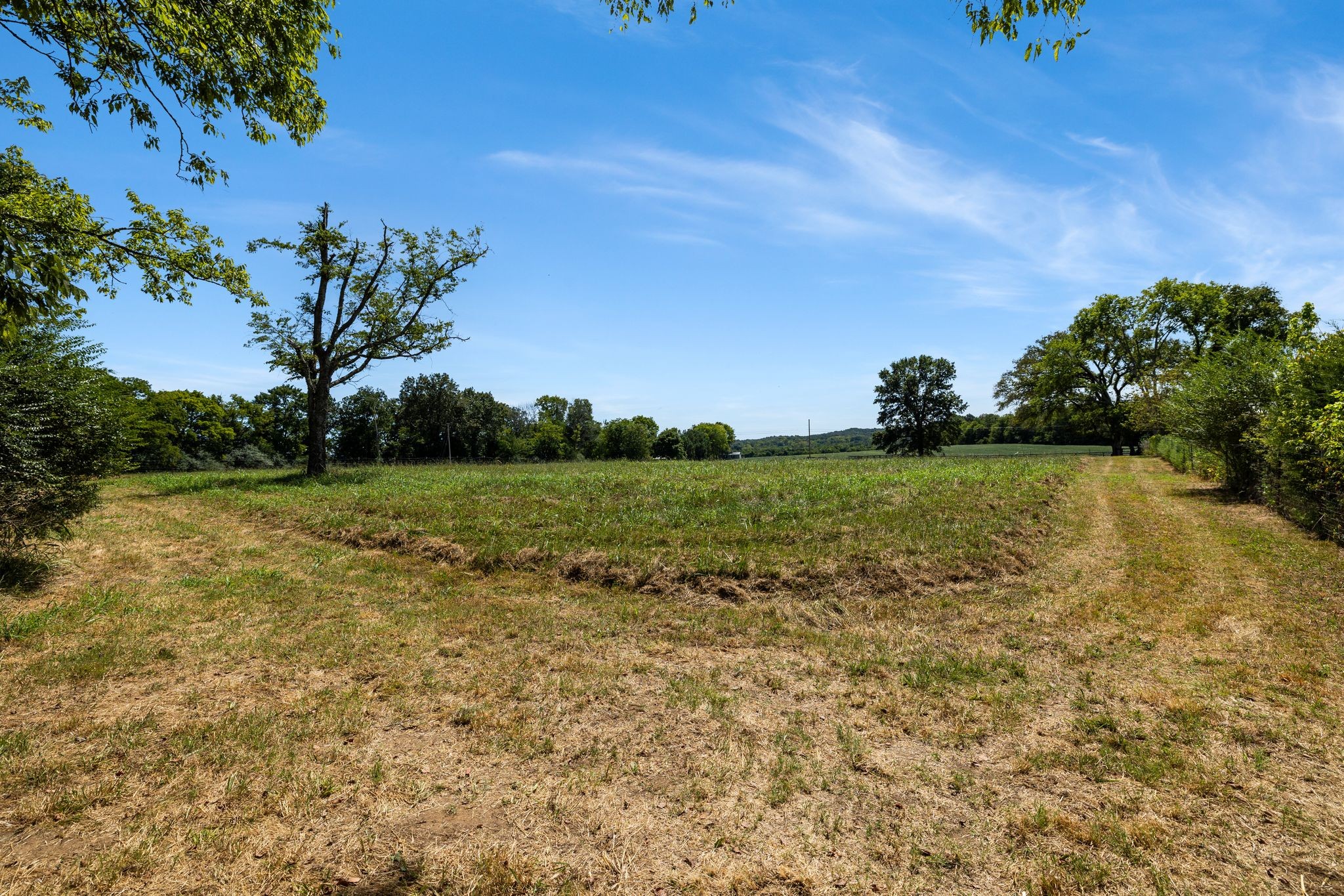 8362 Patterson Road College Grove, TN 37046 - Photo 9 of 27