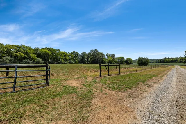 a view of a yard with a tree