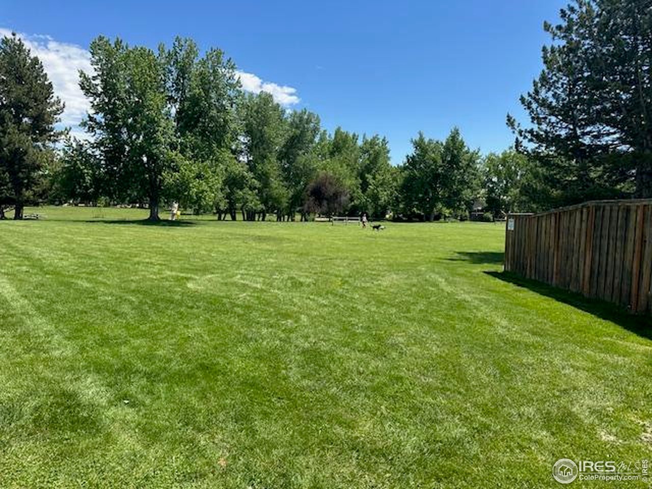 4462 Wellington Road Boulder, CO 80301 - Photo 35 of 37 a view of field with trees in the background