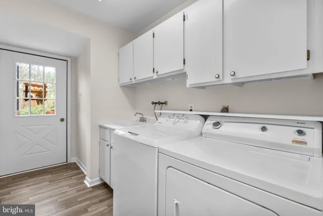 a view of a livingroom with dining chair and a potted plant