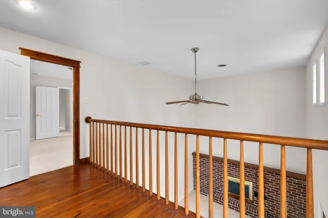 a view of a park with large trees