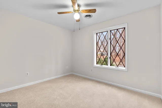 a view of a field with large tree
