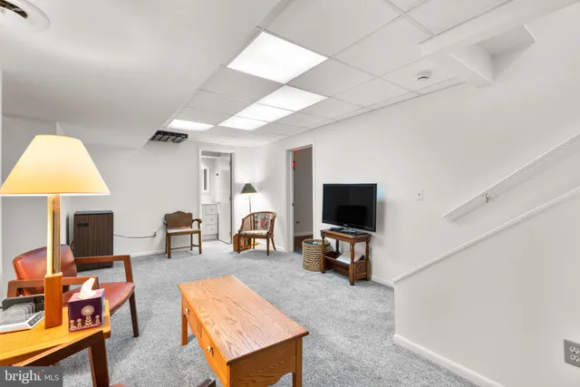 a view of a flower in a garden