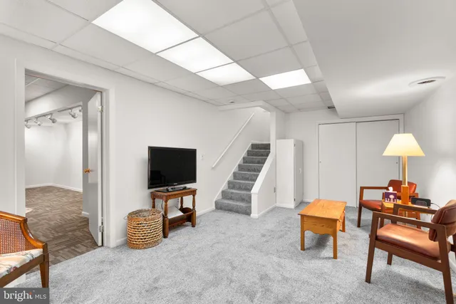 a view of a flower in a yard