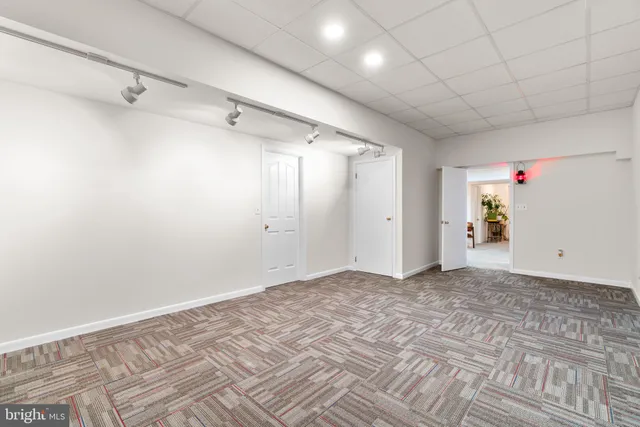 a view of a lush green space