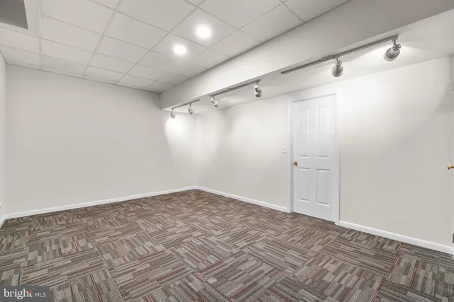 a view of a flower in a garden