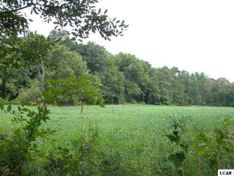 Scio Church Road Chelsea, MI 48118 - Photo 2 of 5 20097945-1.JPG