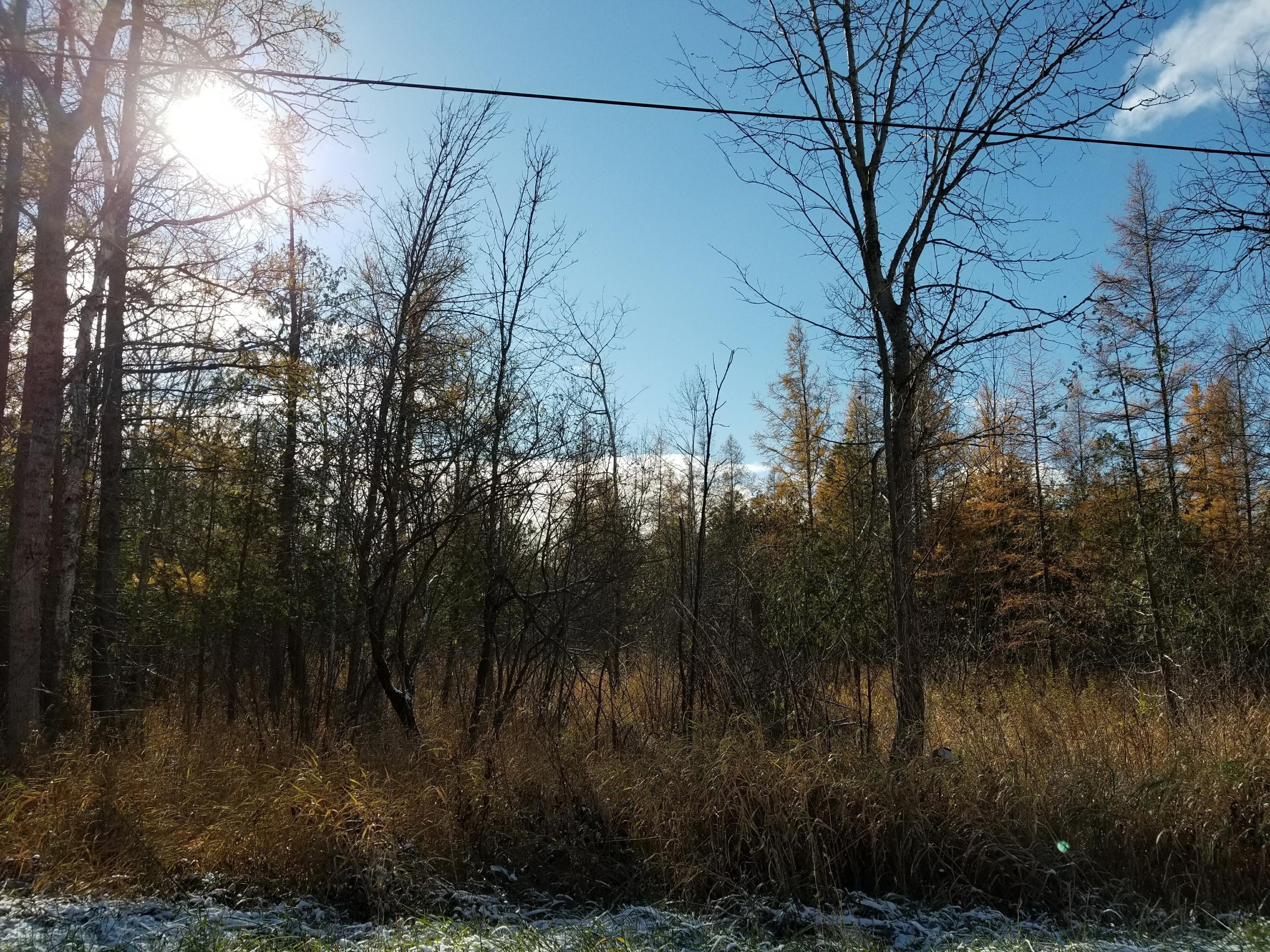 Thomson Road Lachine, MI 49753 - Photo 22 of 24 Gallery Image 22