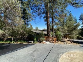 53551 West Ridge Road Idyllwild, CA 92549 - Photo 1 of 33 a row of palm trees in front of a house