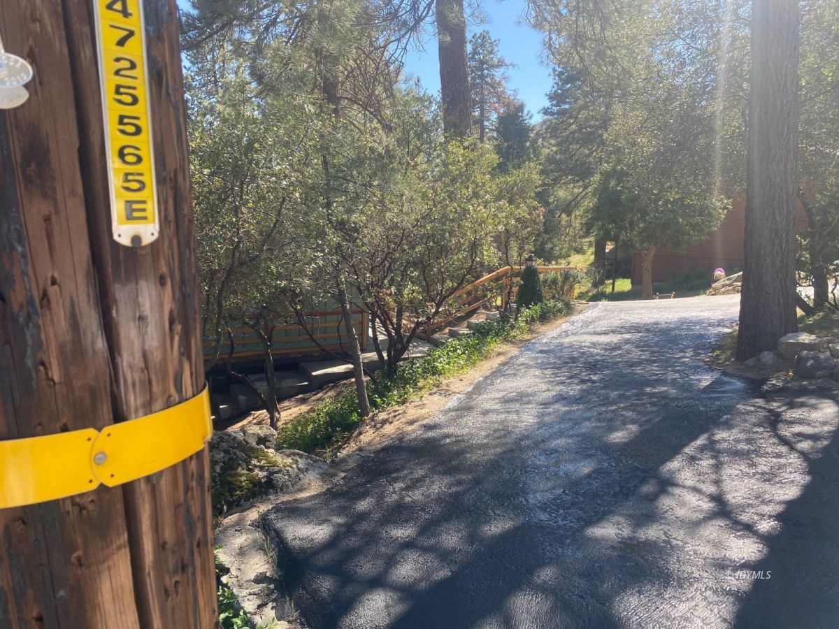 53551 West Ridge Road Idyllwild, CA 92549 - Photo 4 of 33 a view of a street with trees on both side of it