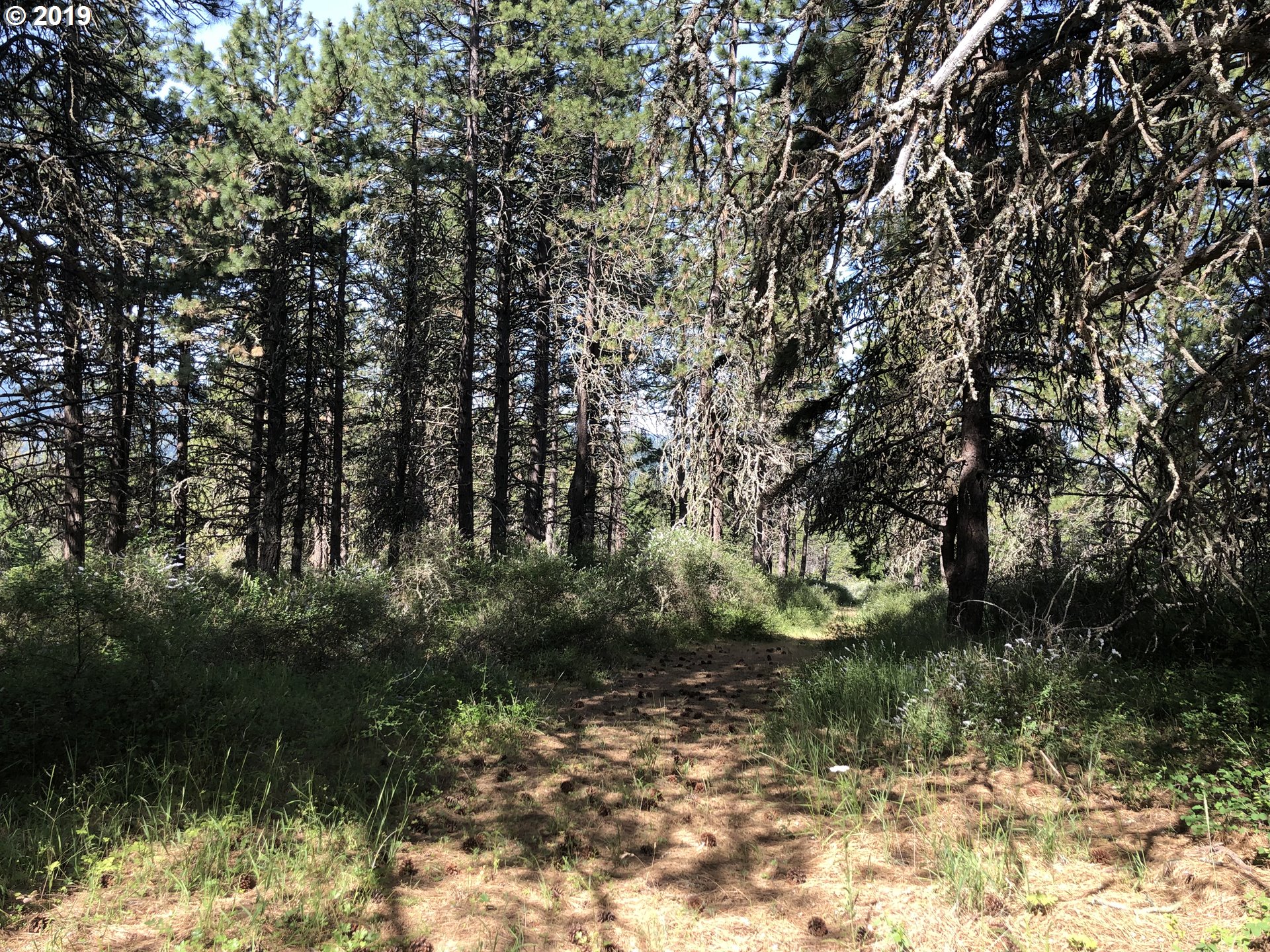 Vensel Road Mosier, OR 97040 - Photo 2 of 5