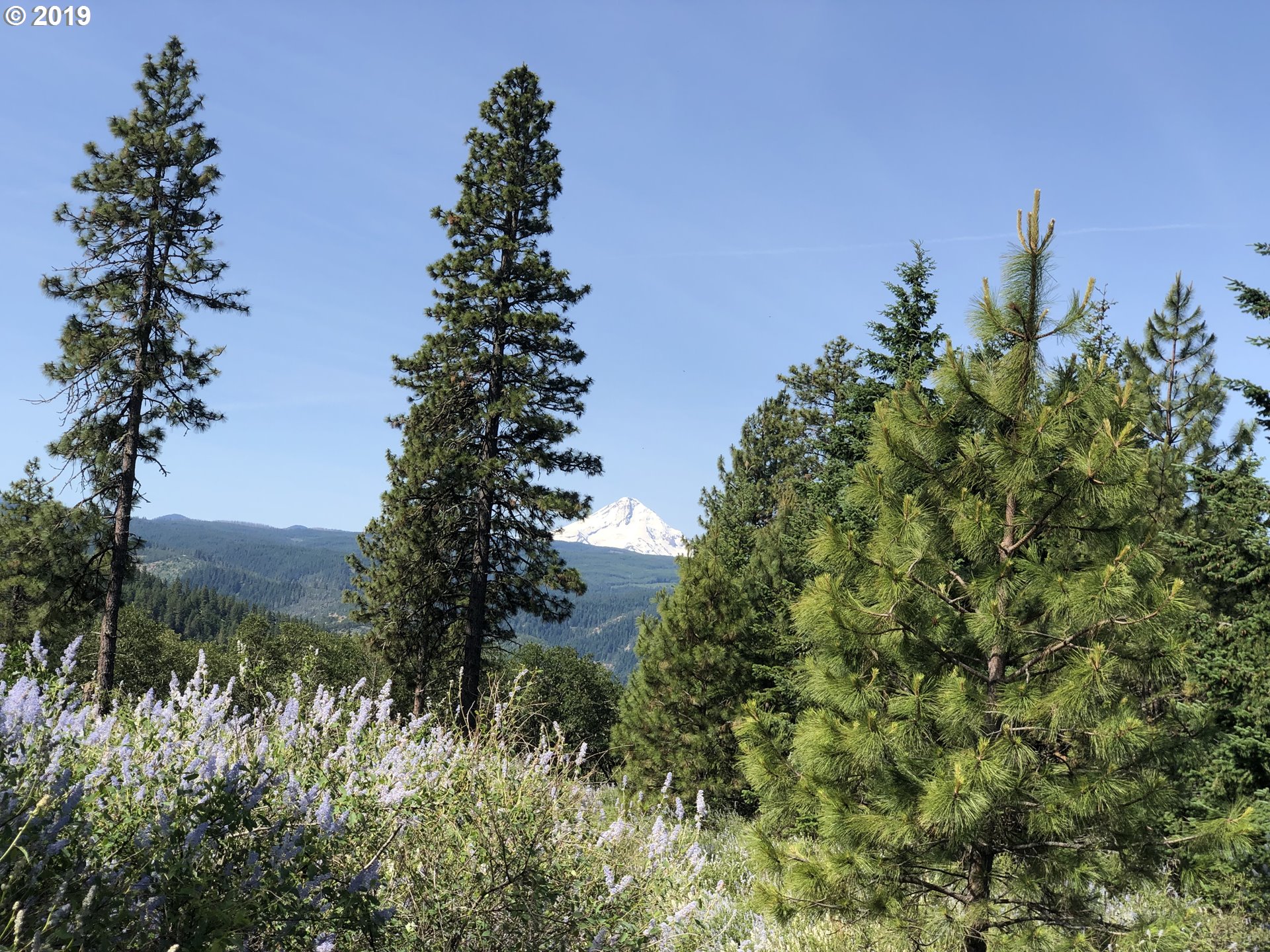 Vensel Road Mosier, OR 97040 - Photo 3 of 5