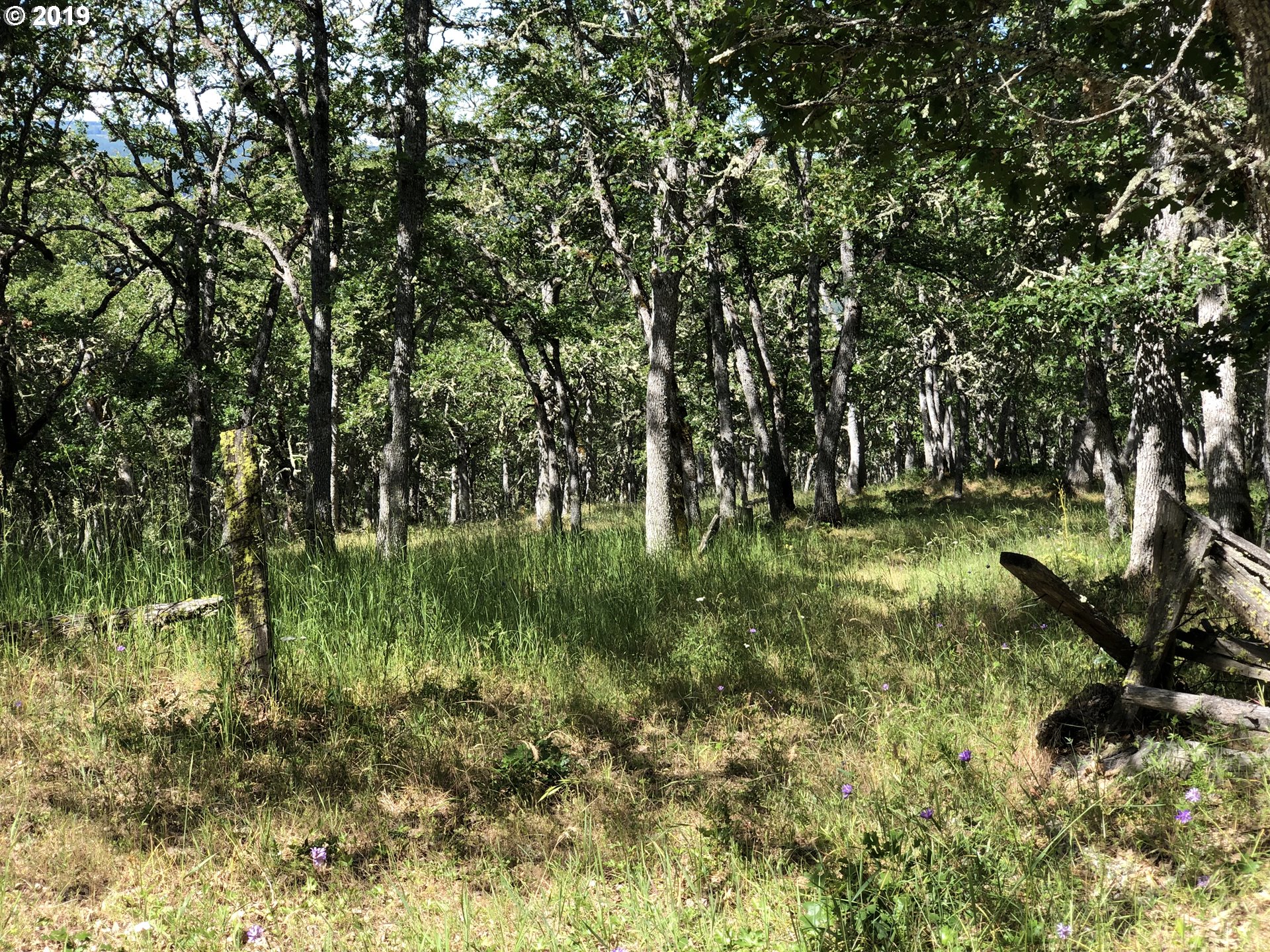 Vensel Road Mosier, OR 97040 - Photo 4 of 5