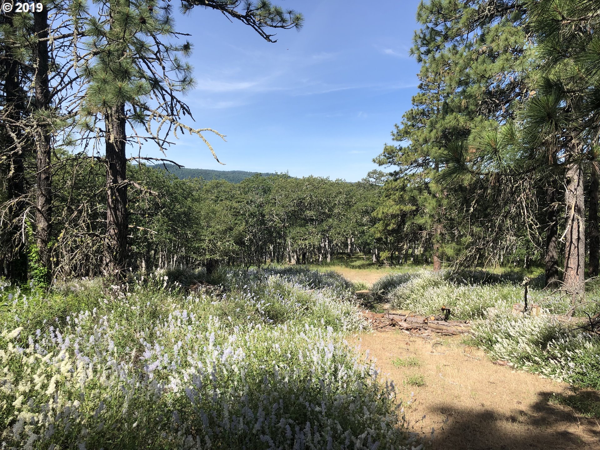 Vensel Road Mosier, OR 97040 - Photo 5 of 5