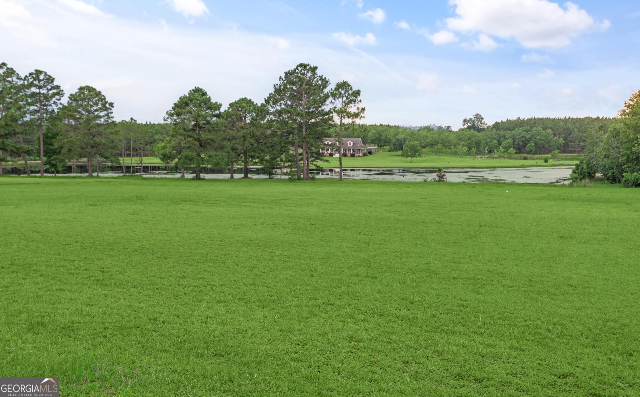 4909 Perry Road Claxton, GA 30417 - Photo 52 of 53 a view of a field of grass and trees