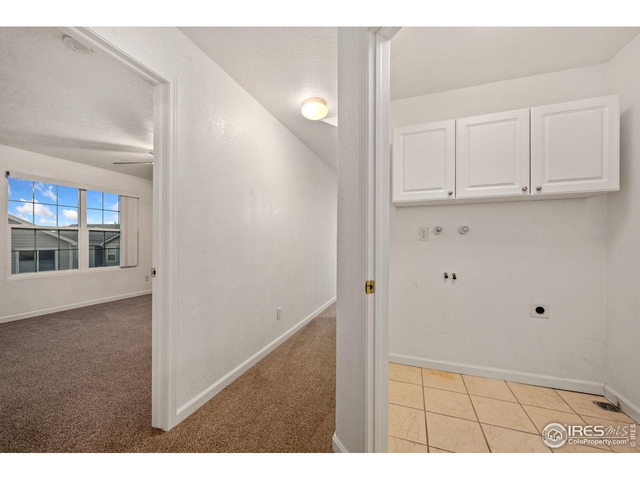 3316 Barbera Street Evans, CO 80634 - Photo 19 of 24