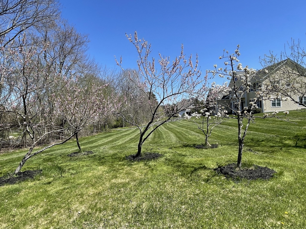 43 Old Mill Road Harvard, MA 01451 - Photo 31 of 31 Gallery Image 31