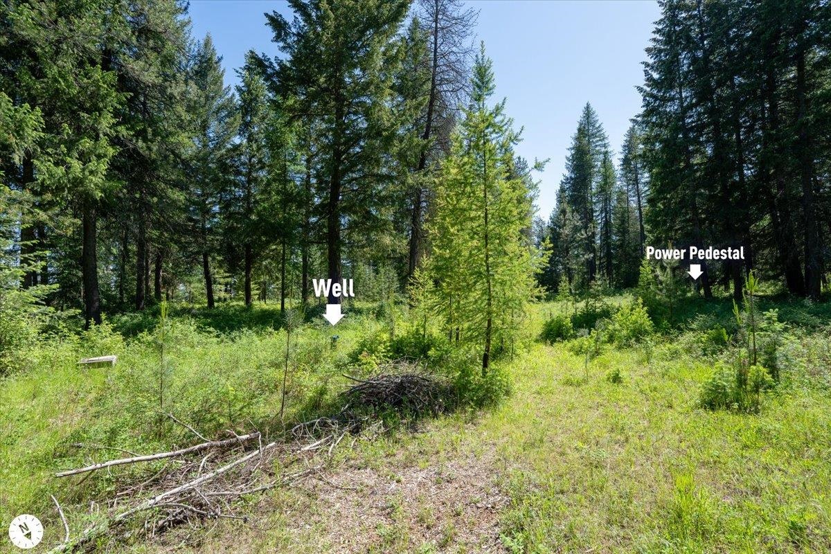 4668 Williams Valley Road Clayton, WA 99110 - Photo 33 of 44