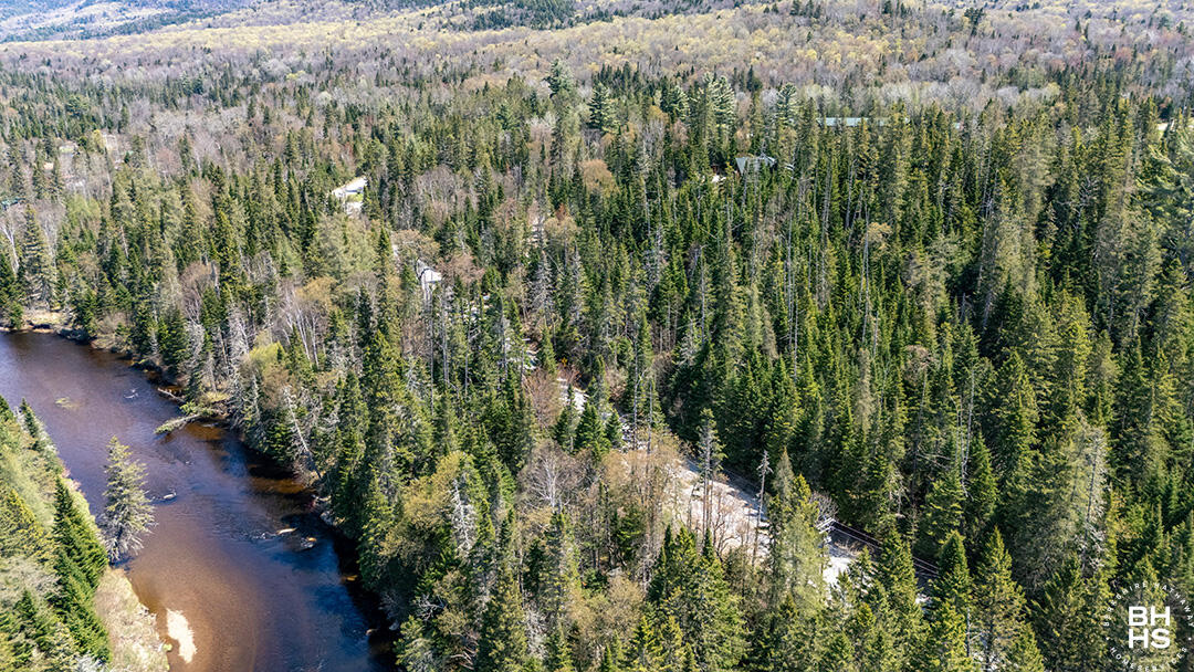 LotOnRiverRdInLakePlacid_Spring_A_Lot