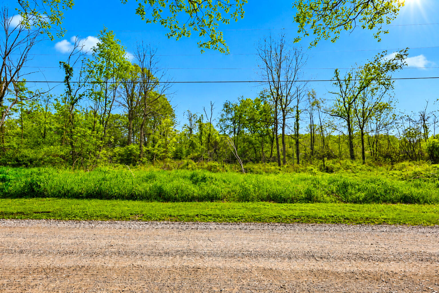 Vl McGuiness Road Dexter, MI 48130 - Photo 10 of 30 10 _ VL McGuiness Road