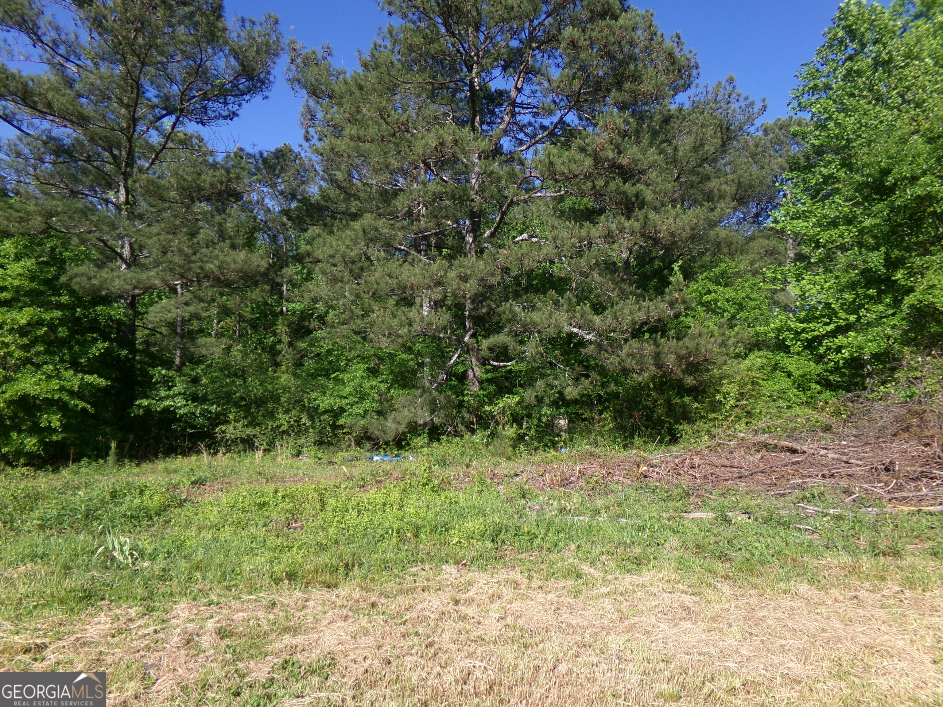 3905 Highway 138 Covington, GA 30014 - Photo 10 of 40