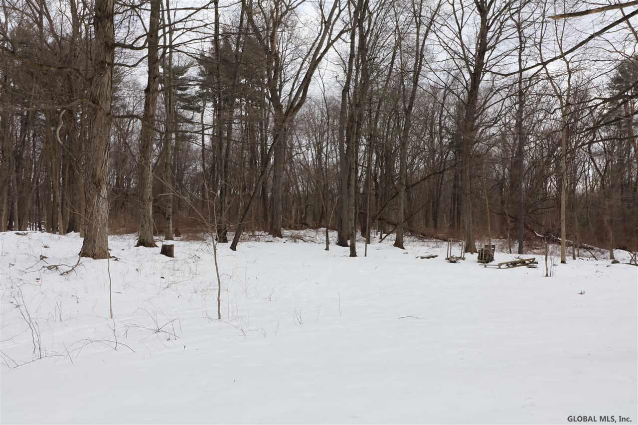 37 Mosher Road Bethlehem, NY 12077 - Photo 25 of 25 Field