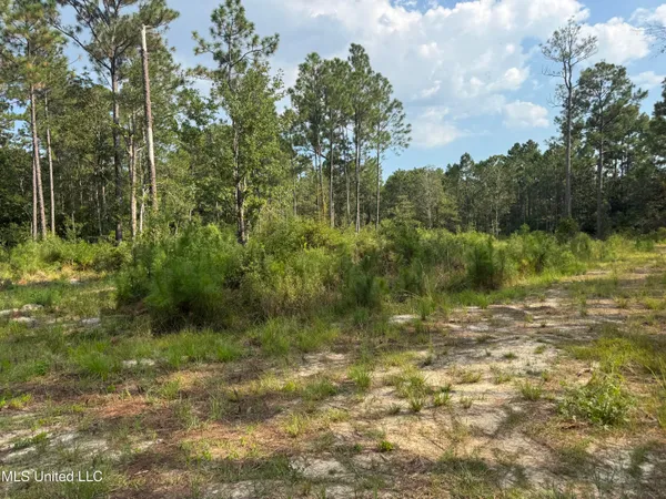 $45,500 | 7368 Longridge Road, Long Beach, MS 39560