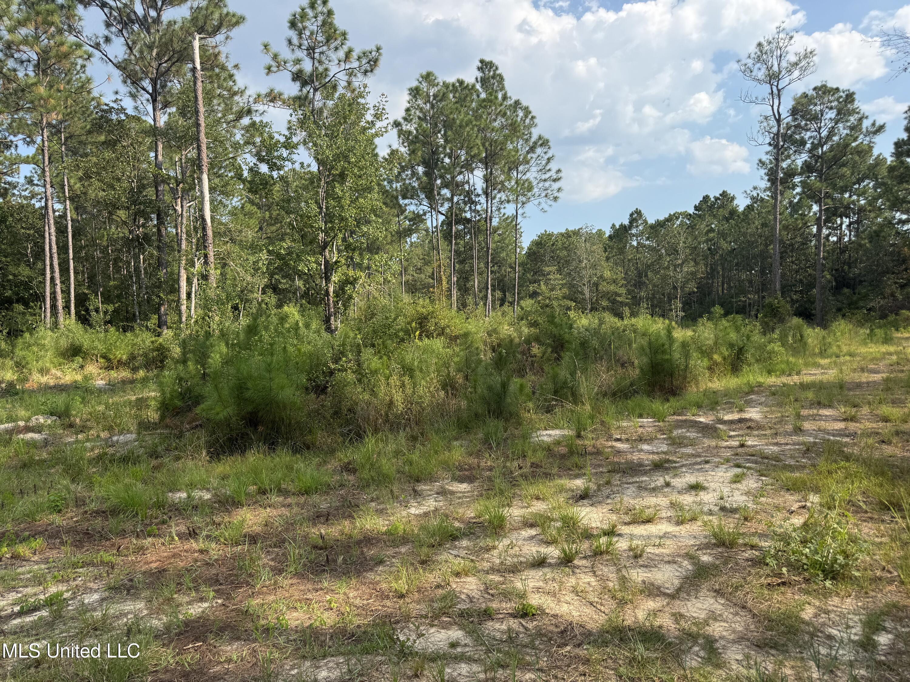 7368 Longridge Road Long Beach, MS 39560 - Photo 1 of 7 IMG_5026
