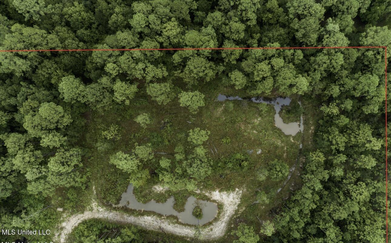 7368 Longridge Road Long Beach, MS 39560 - Photo 5 of 7 IMG_5139