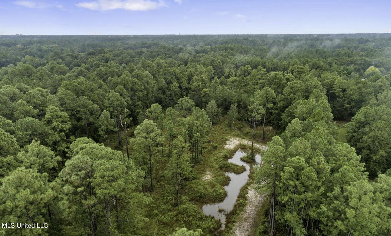 7368 Longridge Road Long Beach, MS 39560 - Photo 7 of 7 IMG_5138