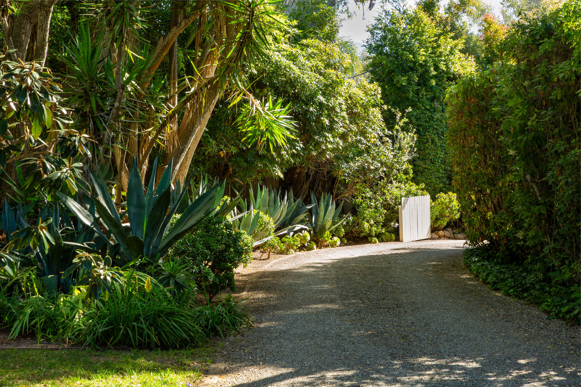 279 Santa Rosa Lane Montecito, CA 93108 - Photo 26 of 27 a view of a street with a tree