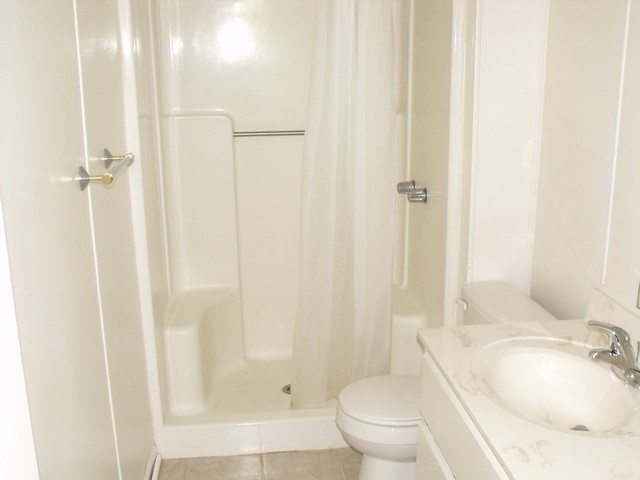 6843 Scruggs Road Moneta, VA 24121 - Photo 19 of 29 lower full bath