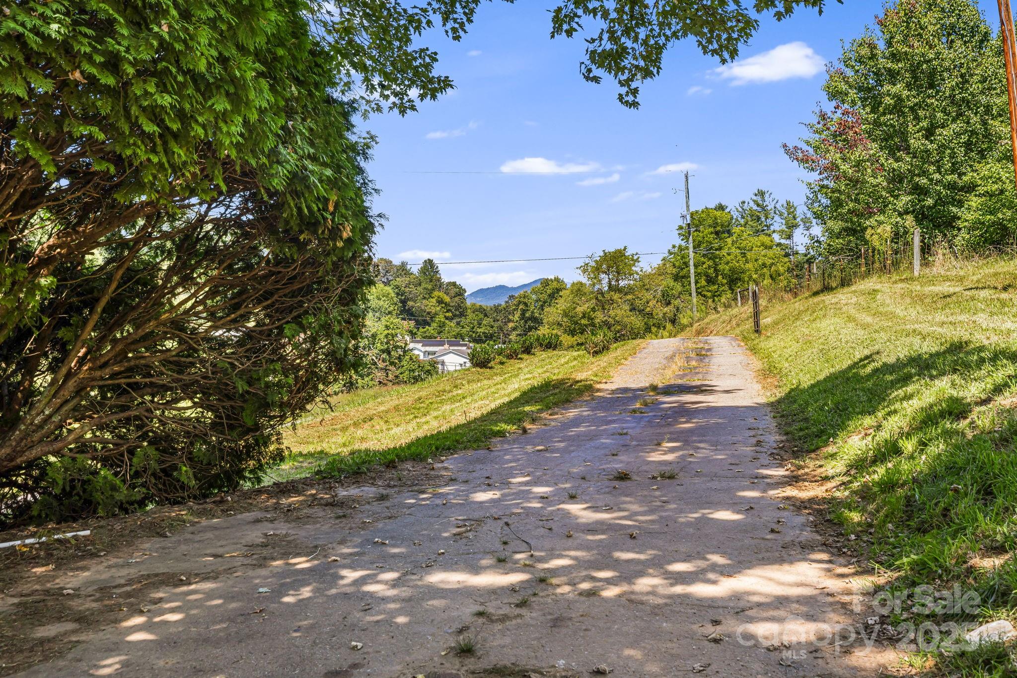 1277 Henson Cove Road Canton, NC 28716 - Photo 21 of 21 a view of a yard with plants and trees