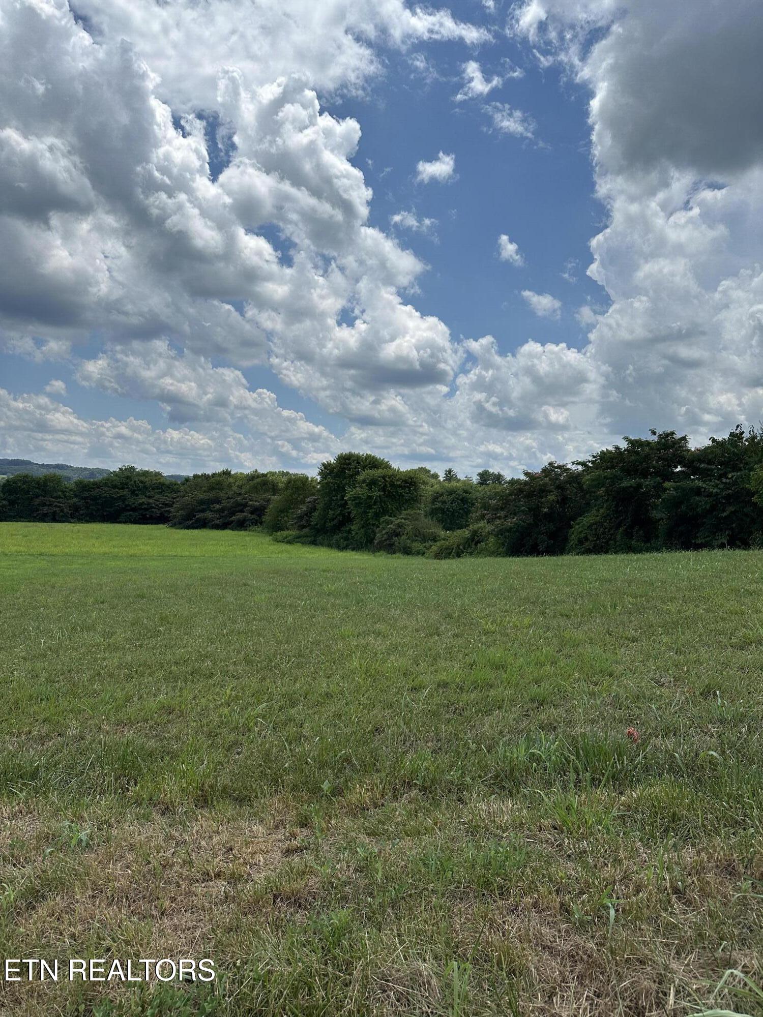 Sparrow Lane Speedwell, TN 37870 - Photo 1 of 3 IMG_2408