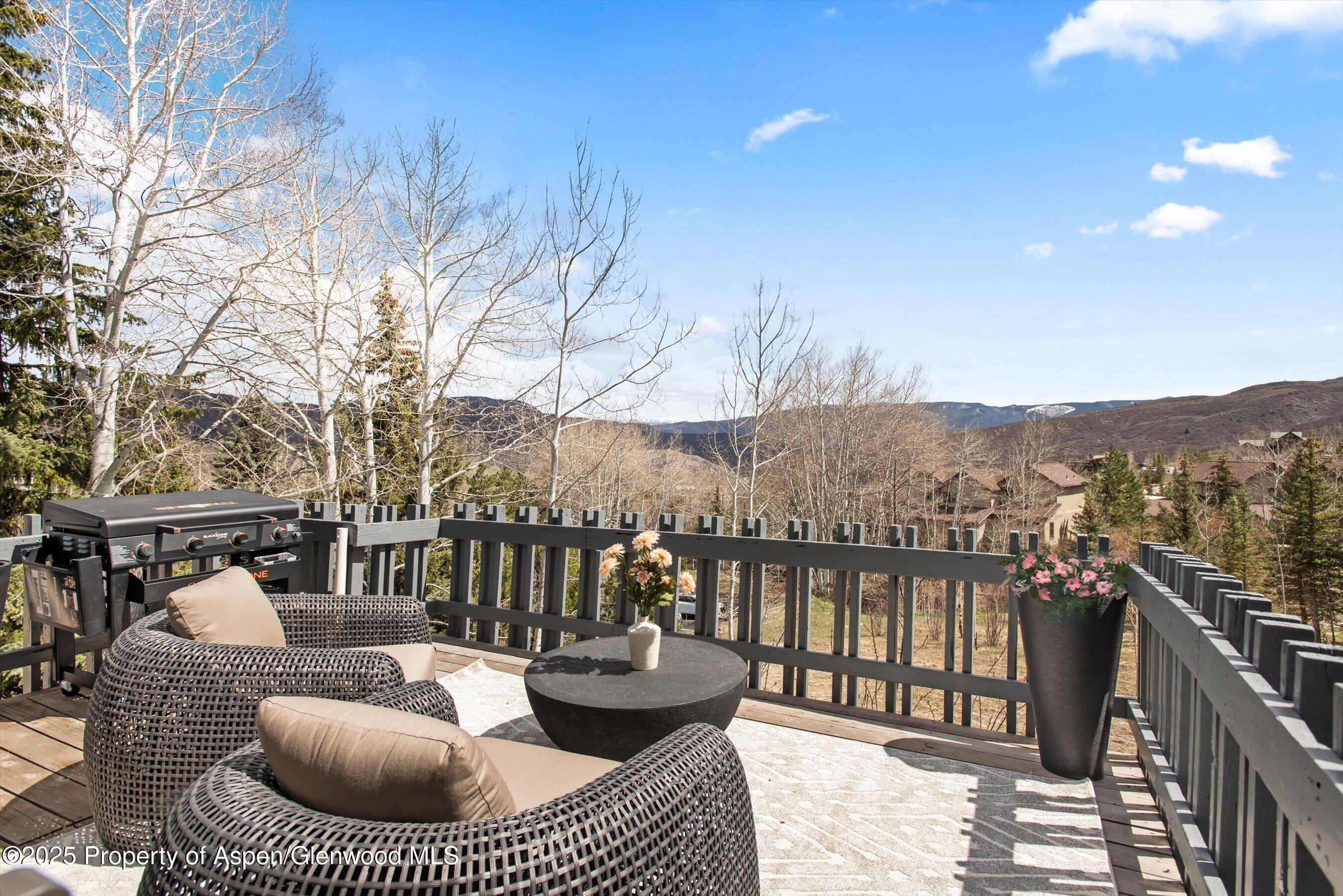 132 Meadow Ranch Road, Unit E3B Snowmass Village, CO 81615 - Photo 10 of 19 12-132MeadowRanch_250422012