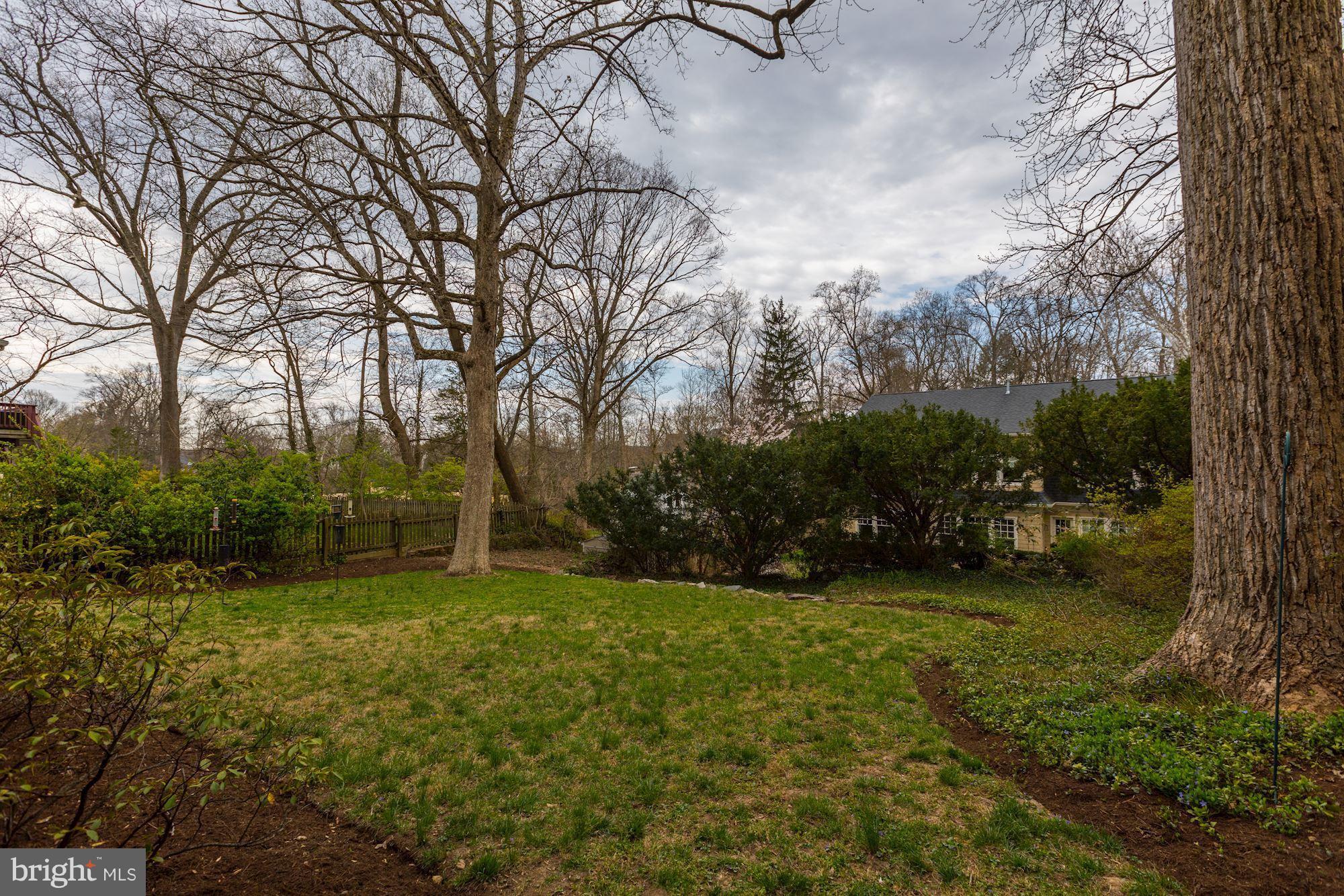 5308 Waneta Road Bethesda, MD 20816 - Photo 18 of 20 Beautiful expansive backyard
