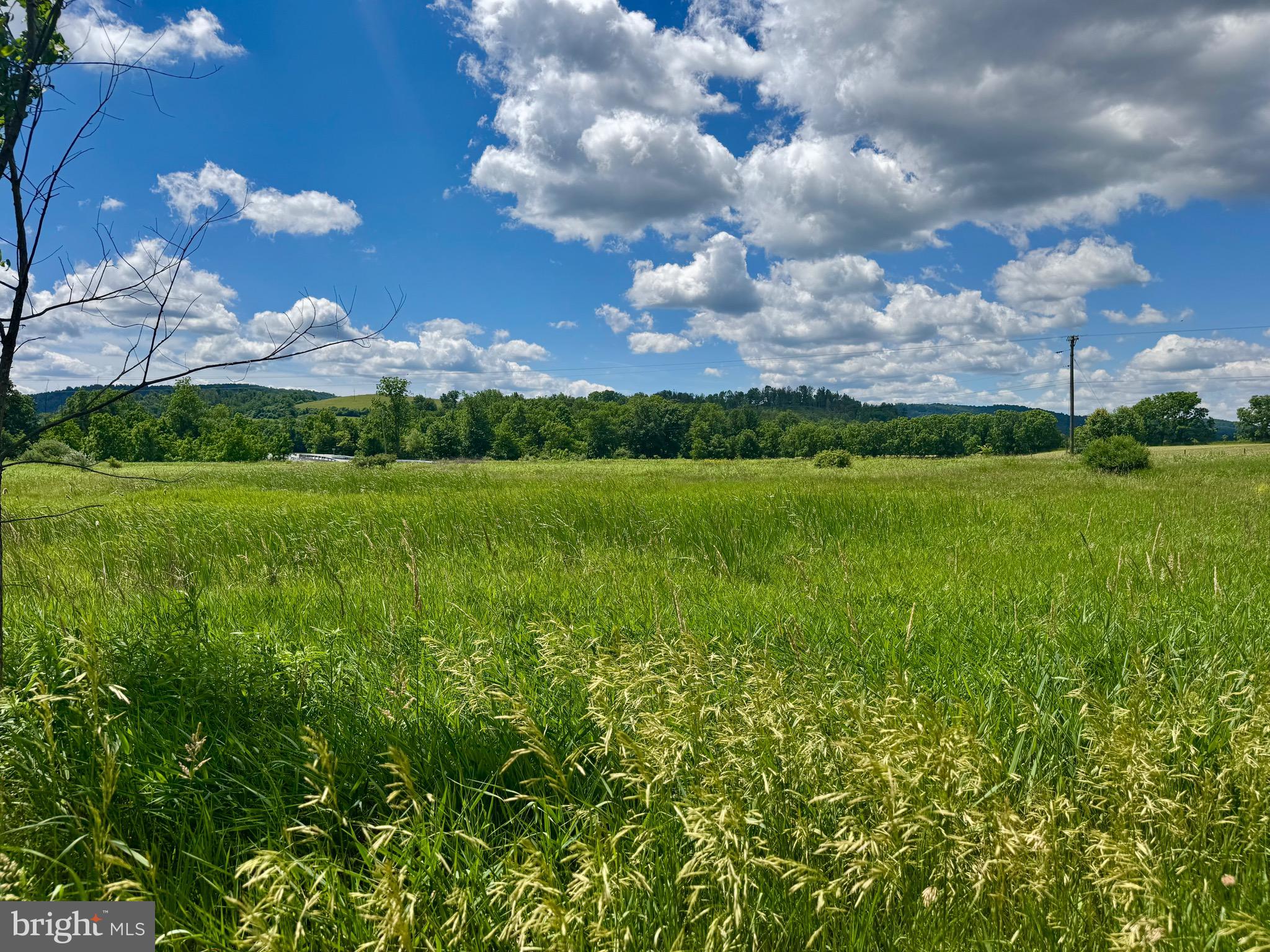 4667 Harper Hill Road Petersburg, PA 16669 - Photo 35 of 96