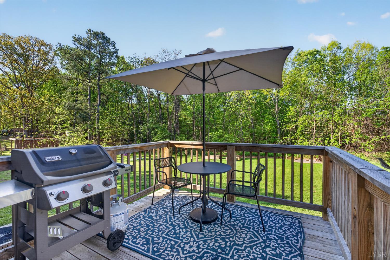 209 Marysville Road Altavista, VA 24517 - Photo 14 of 30