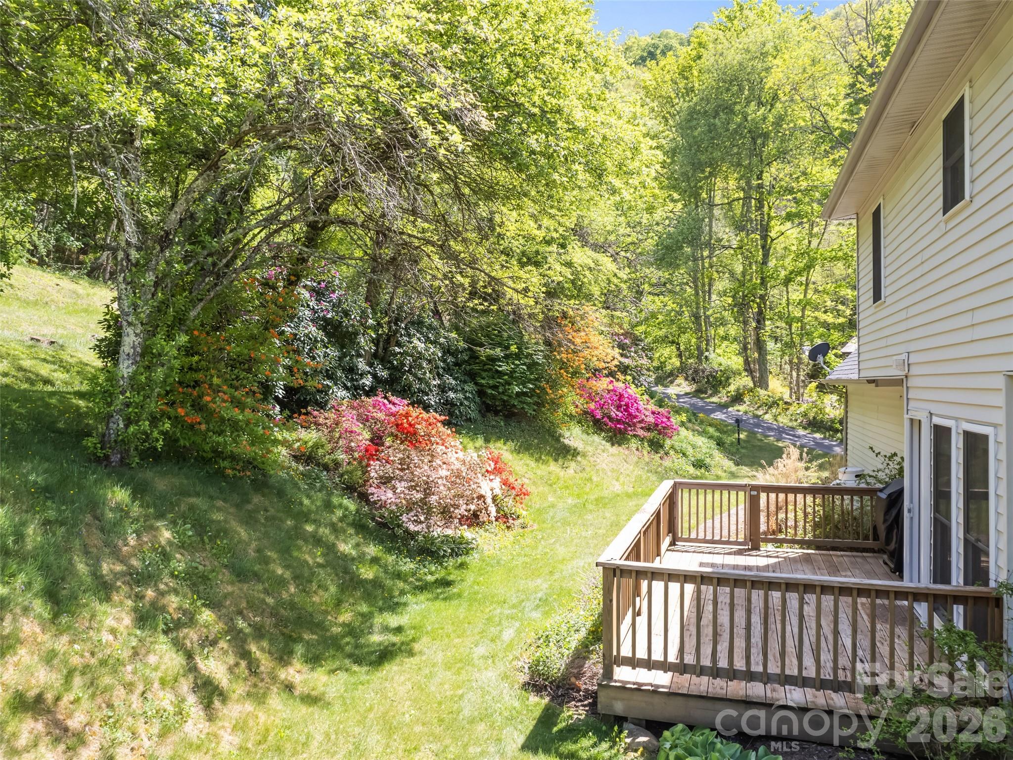 831 Red Bank Road Waynesville, NC 28786 - Photo 3 of 46